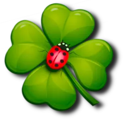 Käfer Service und Dienstleistungen GmbH